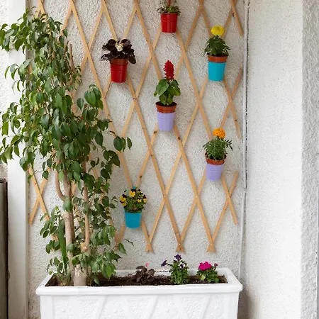 Johnny's Three Bedroom